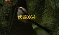伏羲X64